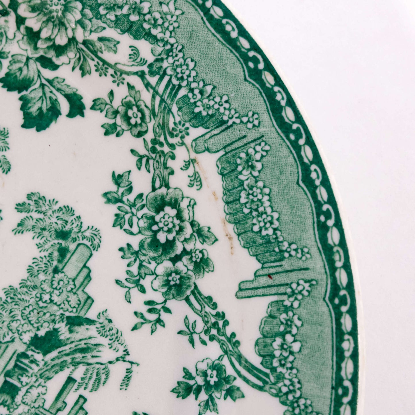 Vintage Dinnerware Buffalo China Green & White Transferware Plate